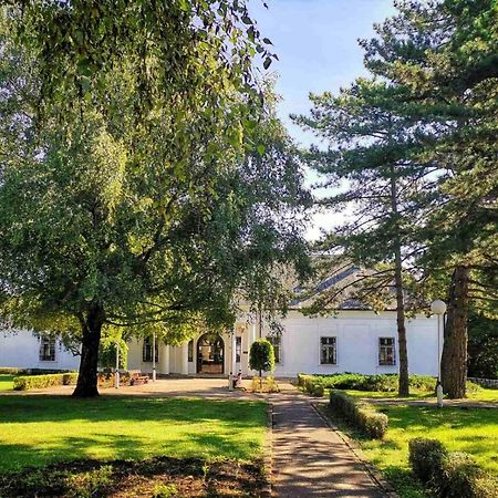 Hotel Biser Panonija Duboka Zewnętrze zdjęcie