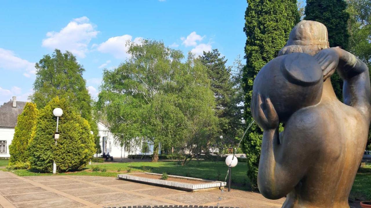 Hotel Biser Panonija Duboka Zewnętrze zdjęcie